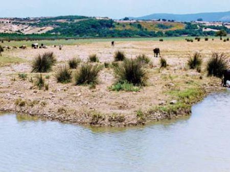 Skikda - Accaparement de terres dans la zone humide de Guerbès: La gendarmerie à la rescousse