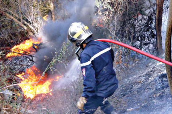 الحرائق تلتهم مئات الهكتارات من الغطاء الغابي بسيدي بلعباس