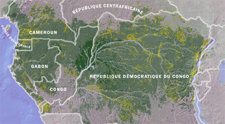 Planète - Comment la déforestation du Bassin du Congo aggrave la pauvreté