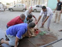Les égorgeurs de mouton se frottent les mains