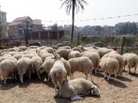 L'offre dépasse largement la demande