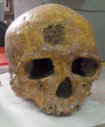 Trente-sept crânes d’Algériens au Musée de l’homme L’Algérie ne réclame pas les restes de ces personnes mortes pendant les décennies de conquête au XIXe  siècle.