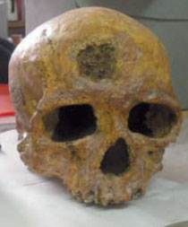 Trente-sept crânes d’Algériens au Musée de l’homme L’Algérie ne réclame pas les restes de ces personnes mortes pendant les décennies de conquête au XIXe  siècle.