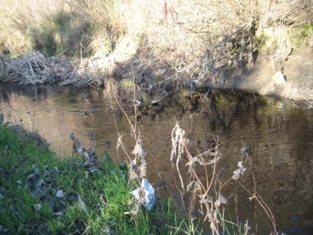 Draa Kébila : Oued Bousselem en danger du fait de la pollution