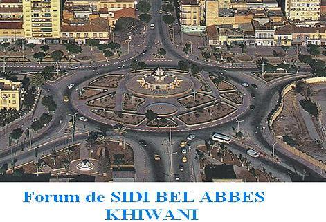 Sidi Bel Abbès - Plusieurs atteintes à l'urbanisme enregistrées