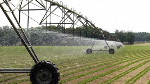 Des terres agricoles irriguées avec des eaux usées