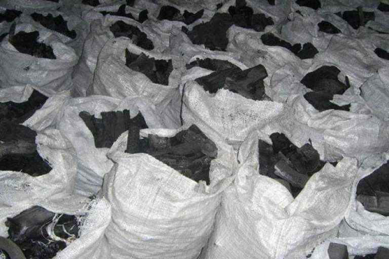 ازدهار تجارة بيع الفحم بوهران