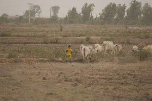 بلدية الظهرة بالشلف على وقع فساد و  فضائح تبديد المال العام