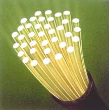 A Annaba, on investit dans la fibre optique