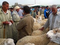 Un moment privilégié de communion