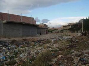 Batna - L'environnement dans le rouge: Organismes défaillants, associations absentes