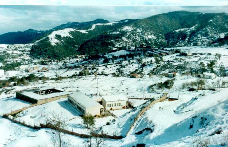Algérie - Intempéries: Neige, froid et routes fermées