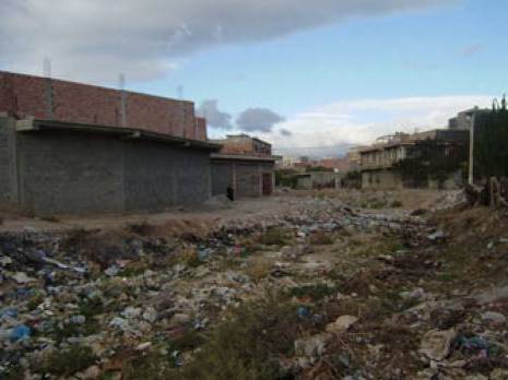 Batna - L'environnement dans le rouge: Organismes défaillants, associations absentes