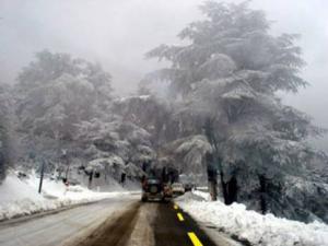 Sétif - Intempéries sur les hauts-plateaux: En l'absence d'un plan ORSEC, la population livrée à elle-même