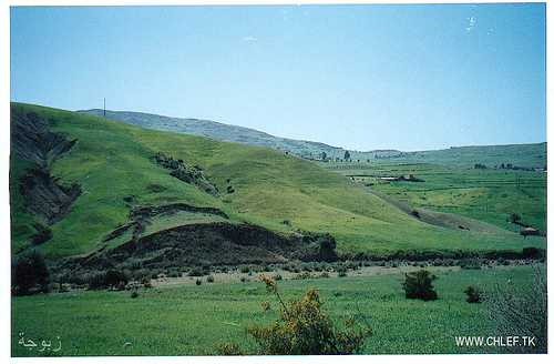 FFS CHLEF demande une  route nationale  pour Zeboudja de la wilaya de CHLEF