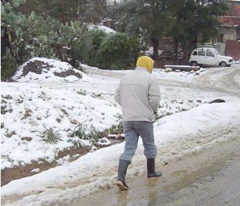 LA NEIGE COUVRE TOUT LE NORD DU PAYS L'Algérie grelotte