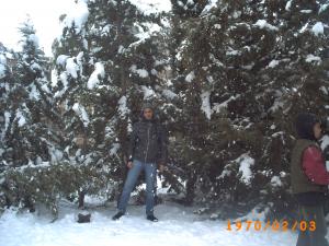 La neige paralyse entièrement la région  de khenchela