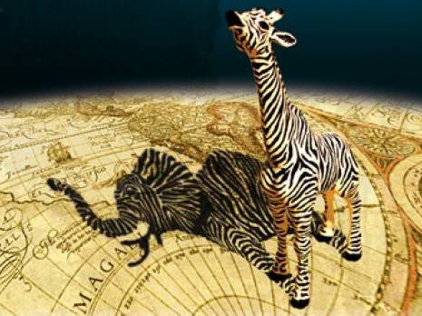 Planète - Les cinq continents réunis à Marseille