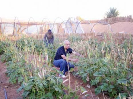 Chlef - 5 wilayas se penchent sur l'économie de l'eau