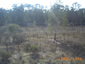 جمال بلادي..... يابوس