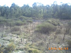 جمال بلادي..... يابوس