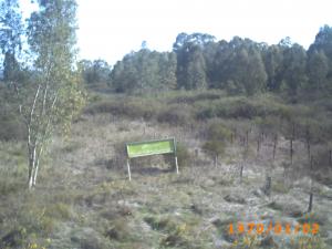 إلى الجزائر الّتي أحلم بها أمان و صفاء و عطاء