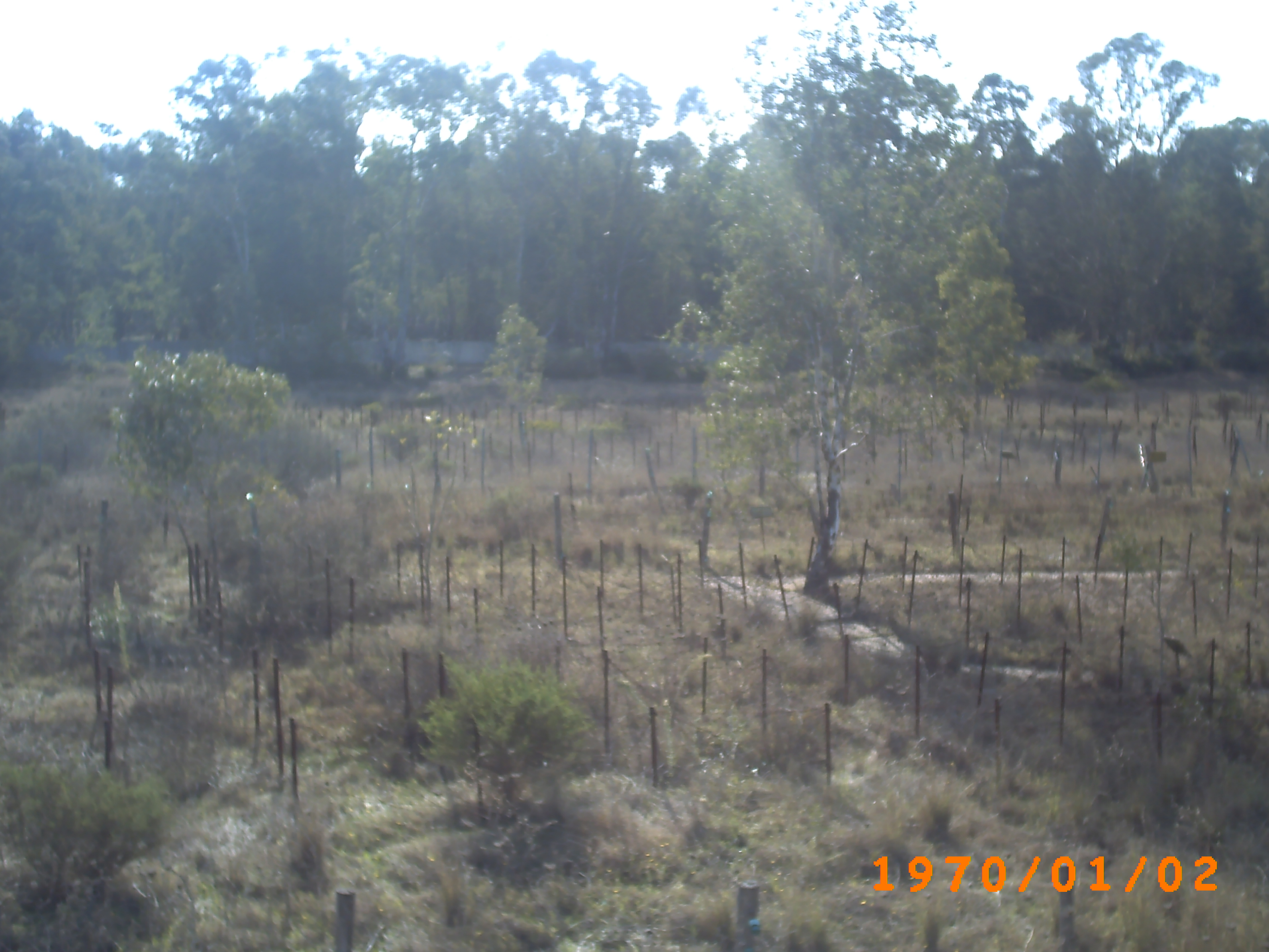 جمال بلادي..... يابوس