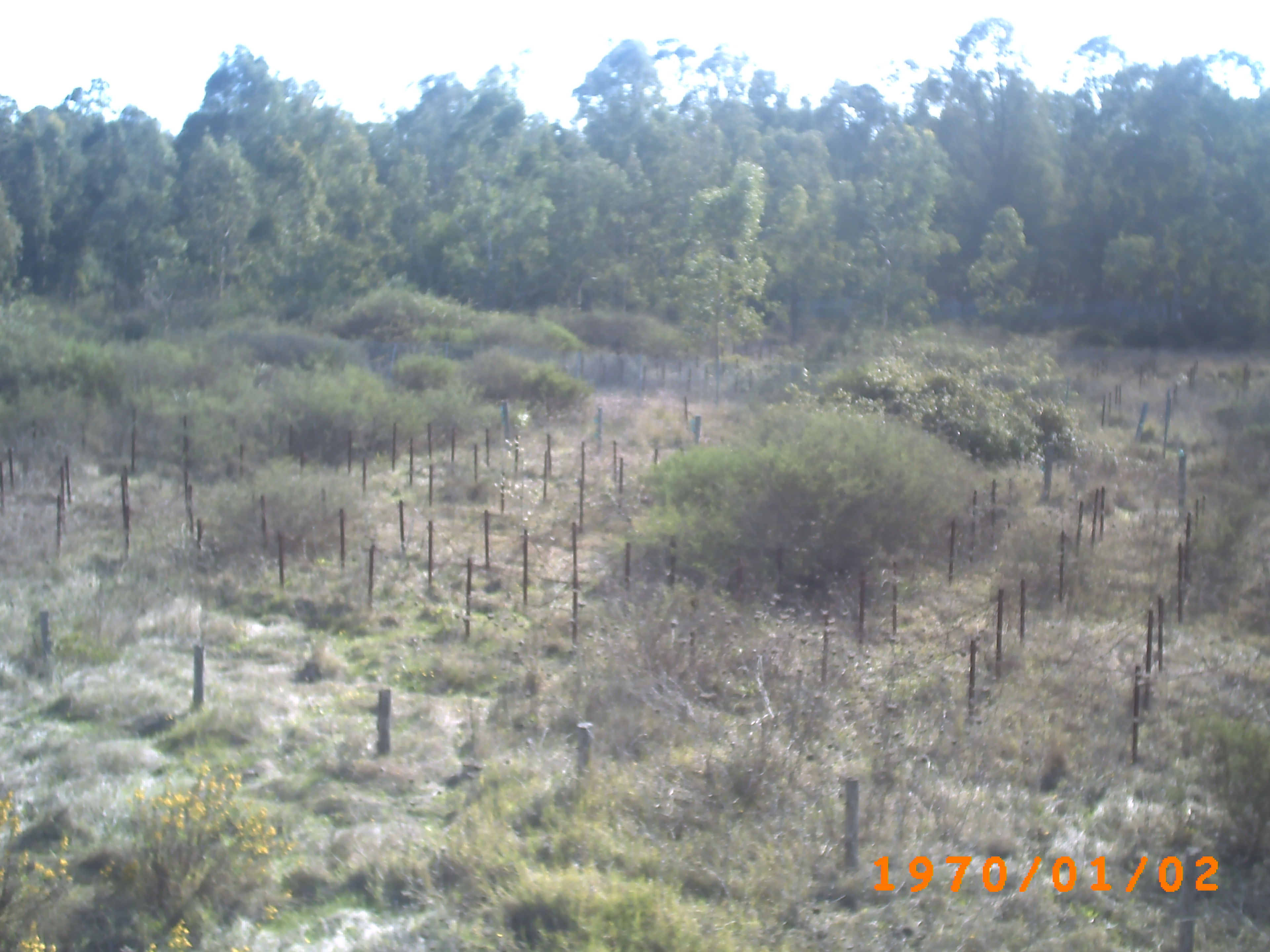 جمال بلادي..... يابوس