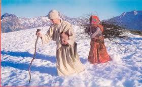 Sétif - 207.300 bonbonnes de gaz livrées et solidarité citoyenne envers les zones sinistrées