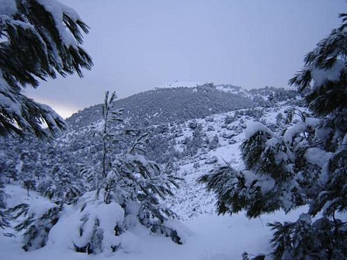 Algérie - Regain de chutes de neige en Haute-Kabylie: Le cauchemar continue pour les villages de haute montagne