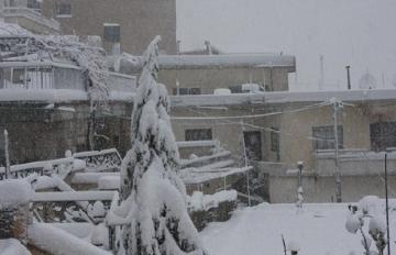 الثلوج تحاصر الجزائر.. وإغلاق المدارس لليوم العاشر