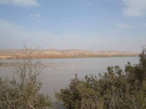 Aïn Lahdjar (Sétif) - Zone humide de chott El Frein: Grave menace de pollution