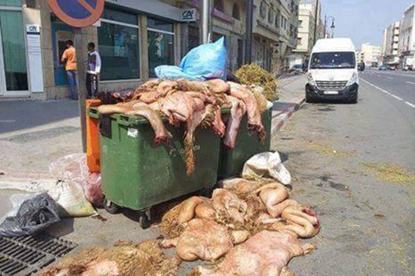 مخلفات العيد تحول مدن وقرى بتيزي وزو إلى مفرغات عمومية