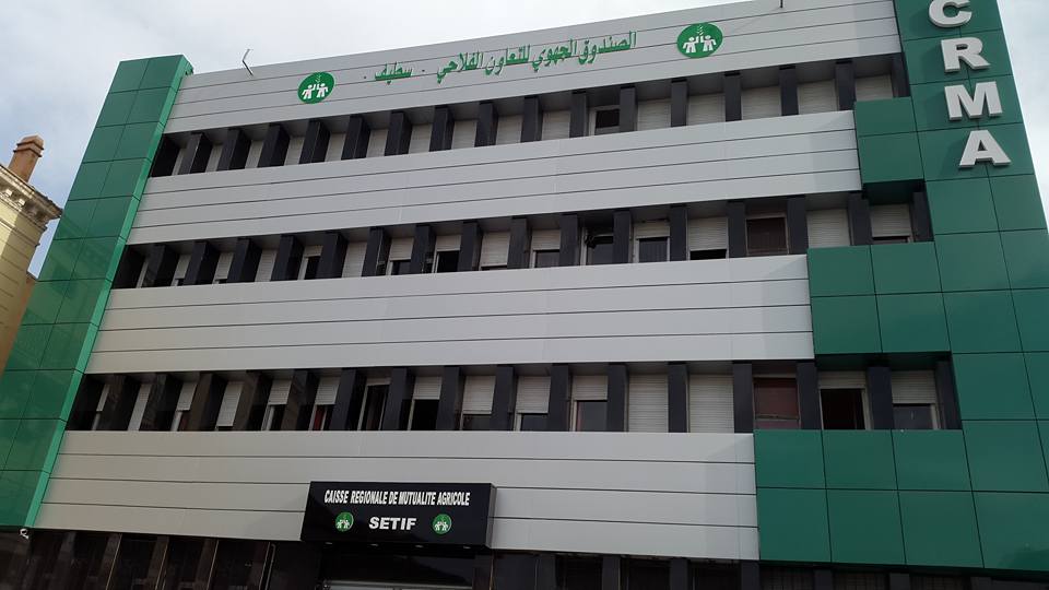 حملة تضامنية كبرى في ولاية سطيف