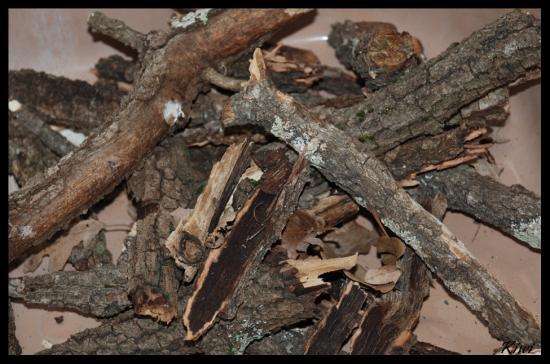 Lakrarib (Bouira) - Le casse tête de la bouteille de gaz