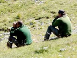 Conservation des forêts d'El Affroun: Plus de 150 interventions durant les intempéries