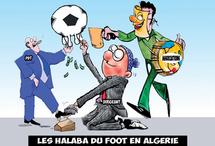 Des associations de 'Beni oui-oui' au secours de la ligue du foot de Mostaganem