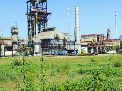 Espoirs pour la filière engrais après la levée du «dos d’âne » européen