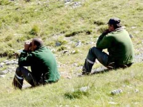 Conservation des forêts d'El Affroun: Plus de 150 interventions durant les intempéries