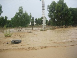 3 morts et plus de 200 familles sinistrées: Mortelles inondations à El Tarf