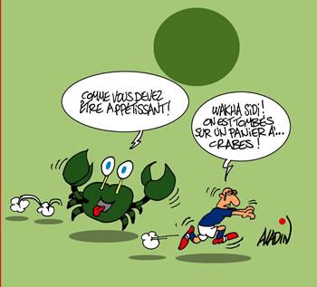 Les Crabes pour un rêve plus grand