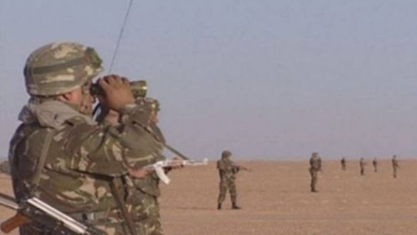 توقيف تاجري مخدرات و ضبط 70 كيلوغرام من الكيف المعالج عبر المحور بني ونيف-بشار-أدرار