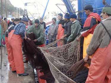 Le secteur de la pêche cumule les contre-performances