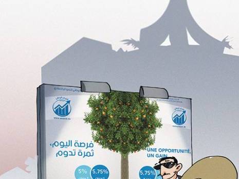 Opération ambiguë, résultats mitigés