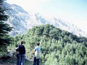 Tala Guilef (Boghni) - à quand la relance du tourisme?