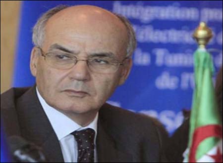 قدرات الجزائر في الغاز الصخري تضاهي أهم الحقول الأمريكية