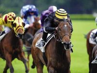 LES POULAINS ET POULICHES EN FORCE