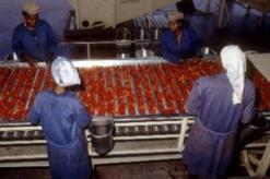 خلال لقاء تحسيسي حول فرص الاستثمار بالولاية               دعوة للاستثمار في الصناعات الغذائية بالمسيلة