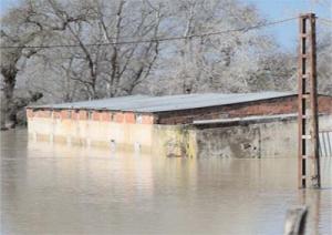 Benaïssa en visite à El Taref: Les premières mesures en direction des fellahs sinistrés