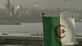 الجزائر تعتزم فرض ضريبة على 1260 منتجا يستورد من المنطقة العربية